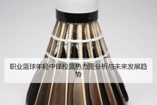 职业篮球年轻中锋投篮热力图分析与未来发展趋势